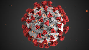 Magnified illustration of coronavirus 