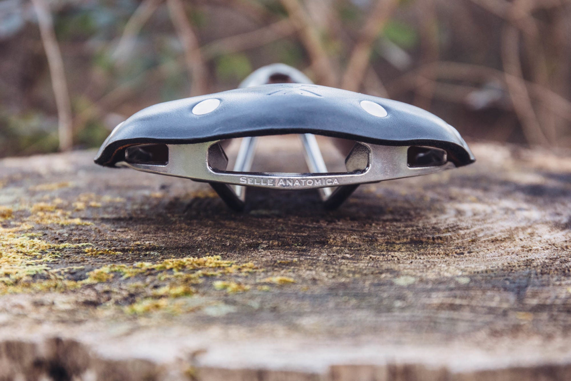 selle anatomica titanico　ブラック Selle Anatomica updates its saddles and their model names