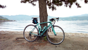 Road bike leaning against a tree near a lake front