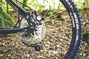 Close-up of a rear bicycle hub and wheel on a bike in the woods