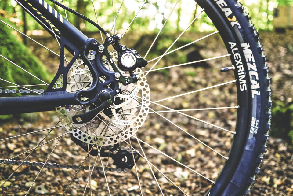 Close-up of a rear bicycle hub and wheel on a bike in the woods