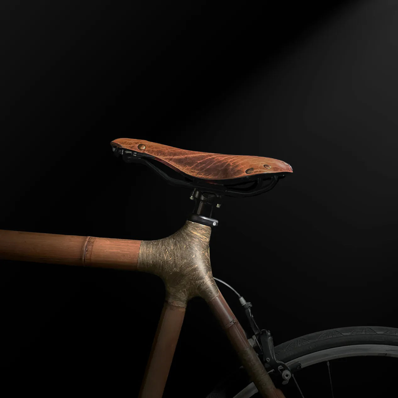 Selle Anatomica series 1 leather bike saddle shown mounted on a bicycle