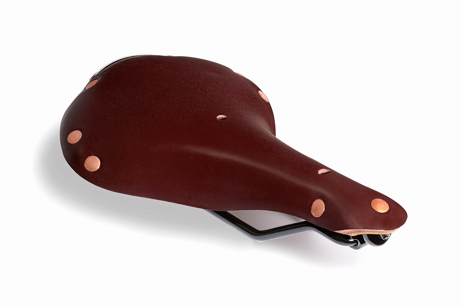 Selle 2025 anatomica saddle